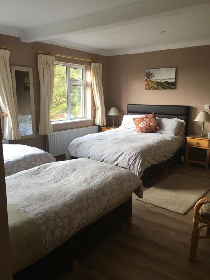 Atlantic View Bed & Breakfast Clifden Bagian luar foto